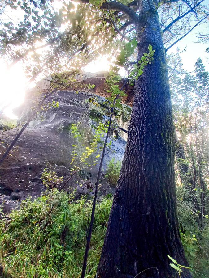 Forest Lane Кларенс Екстер'єр фото