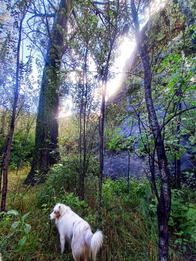 Forest Lane Кларенс Екстер'єр фото