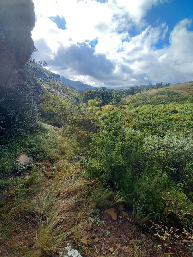 Forest Lane Кларенс Екстер'єр фото