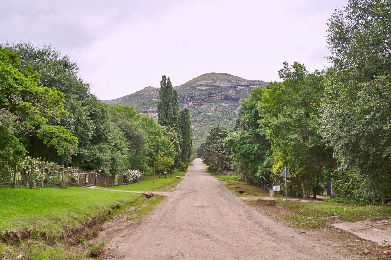 Forest Lane Кларенс Екстер'єр фото