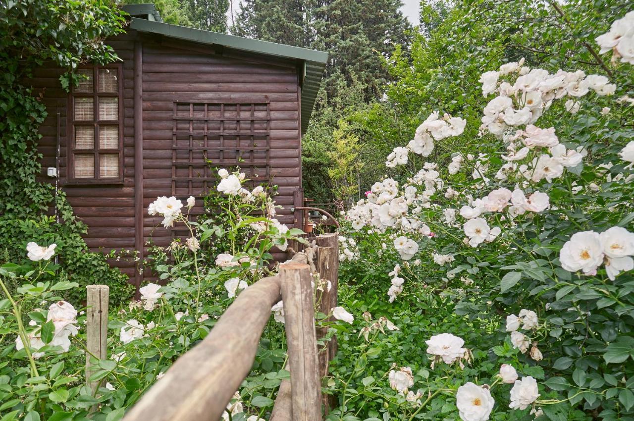 Forest Lane Кларенс Екстер'єр фото