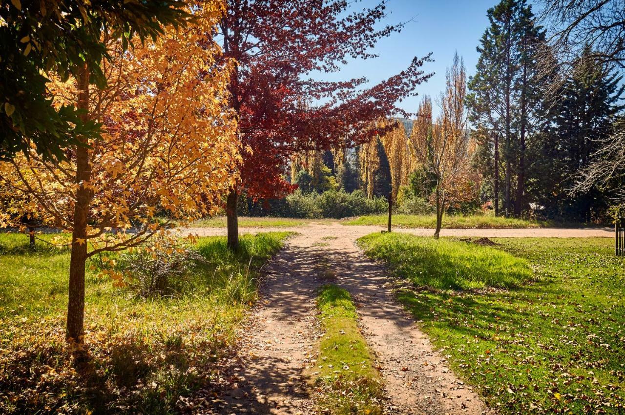 Forest Lane Кларенс Екстер'єр фото