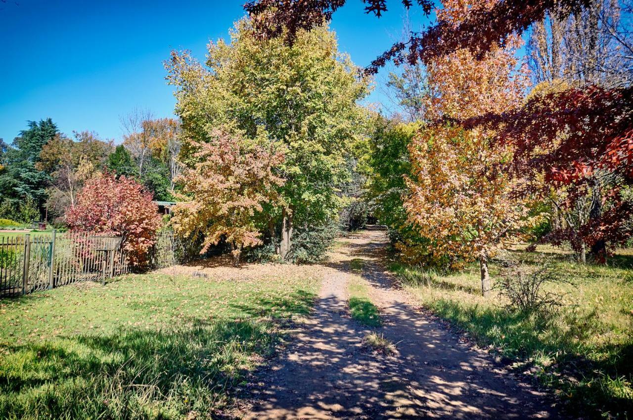 Forest Lane Кларенс Екстер'єр фото
